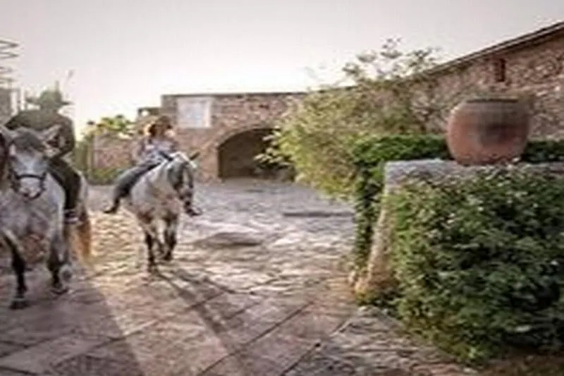 Landhaus Gasthaus Sa Bassa Rotja Ecoturisme Porreres Spanien