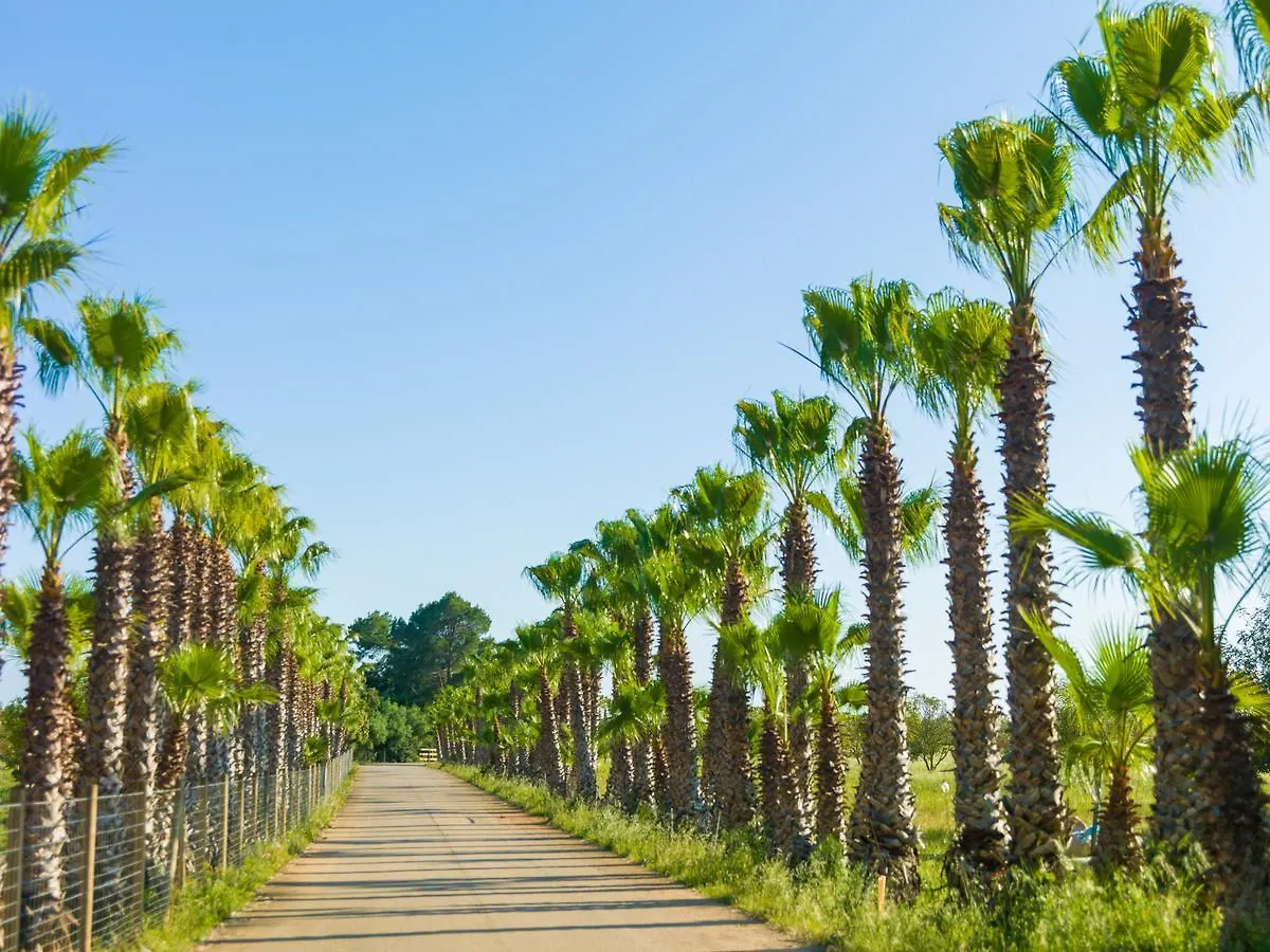 Landsted Sa Bassa Rotja Ecoturisme Pensionat Porreres Spanien